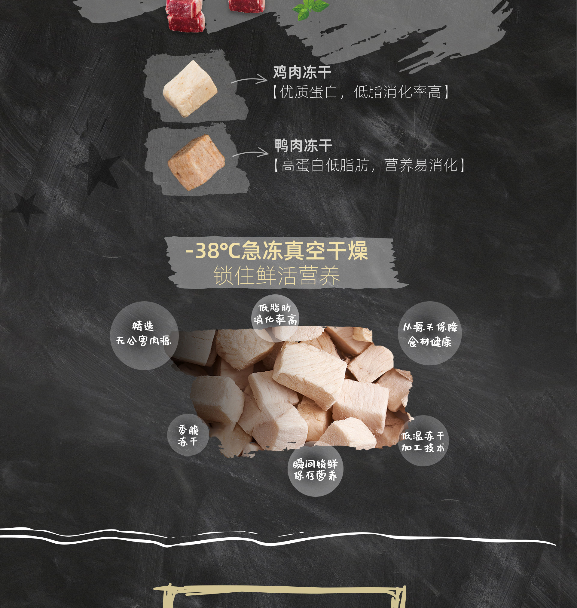 倍内菲 全价犬粮 经典系列