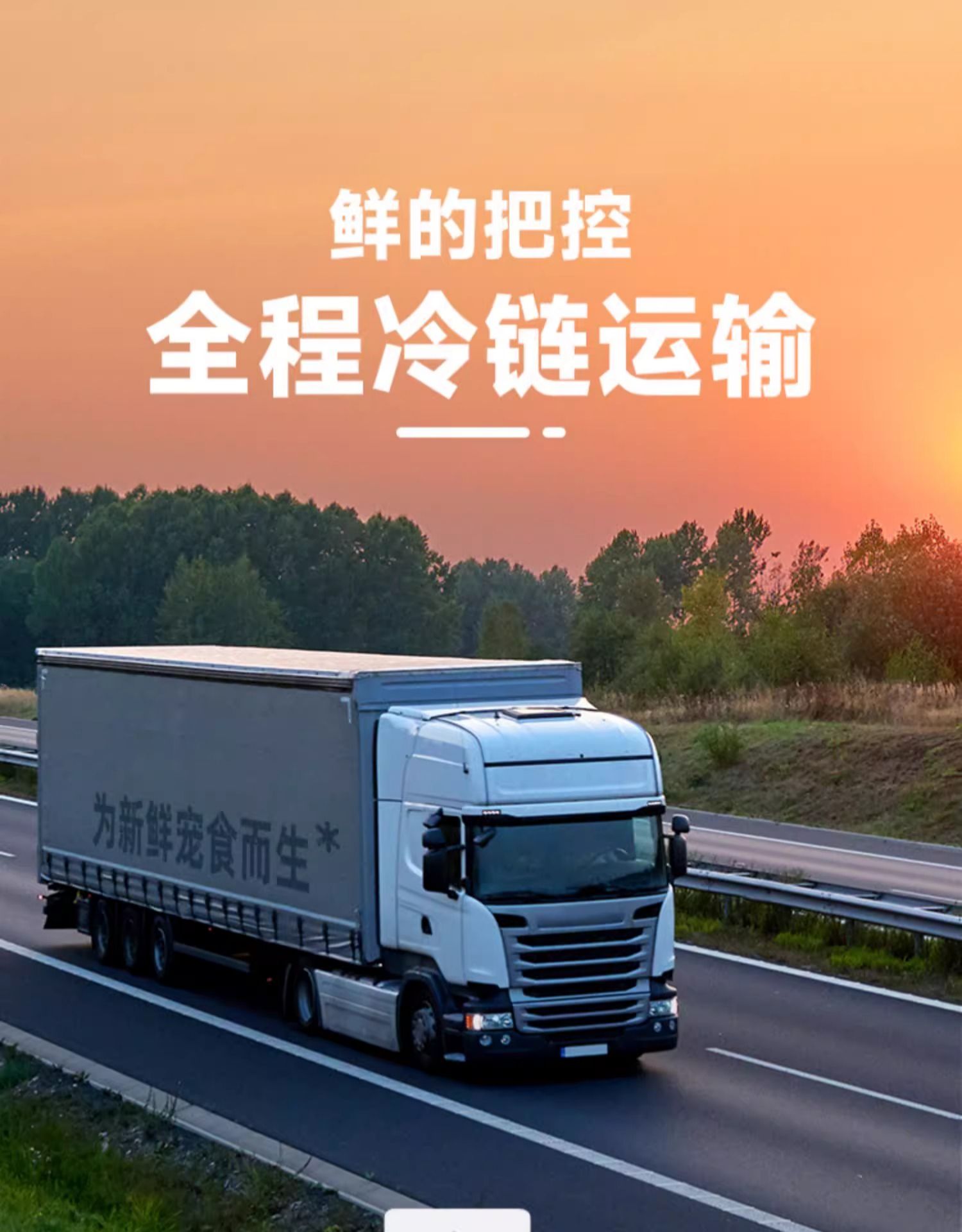 鲜朗 烘焙全价幼猫粮