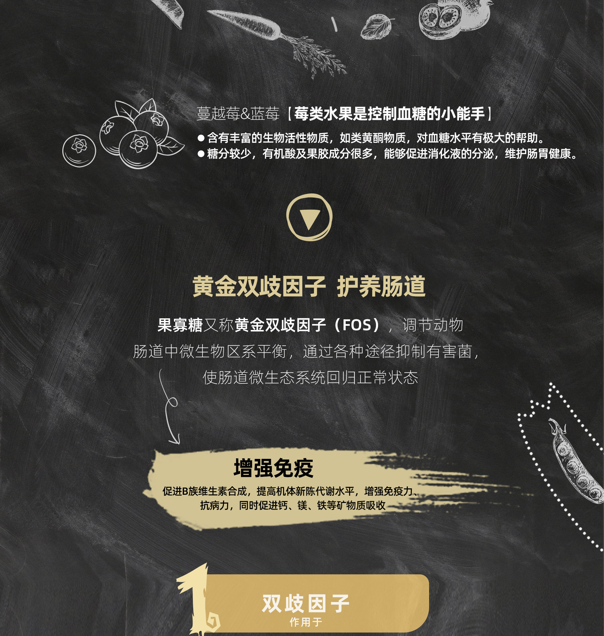 倍内菲 全价犬粮 经典系列