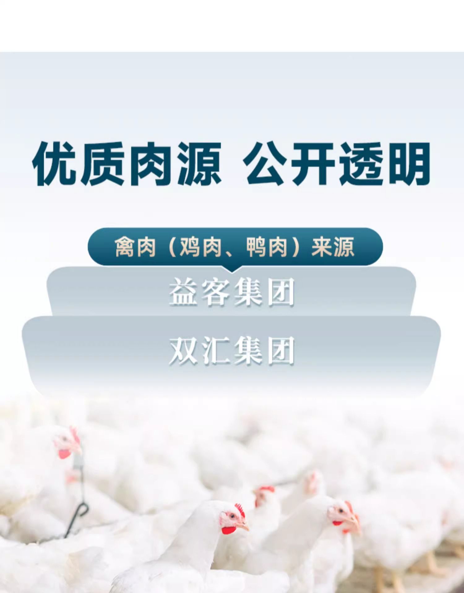 鲜朗 烘焙全价幼猫粮