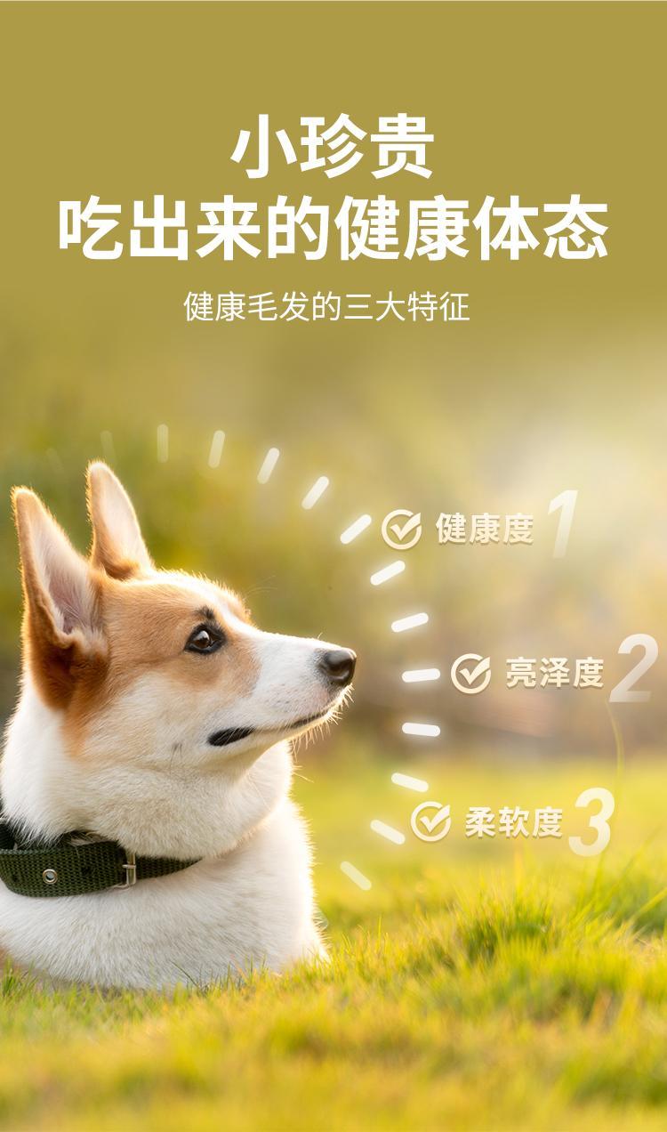 鲜朗 烘焙全价幼犬粮