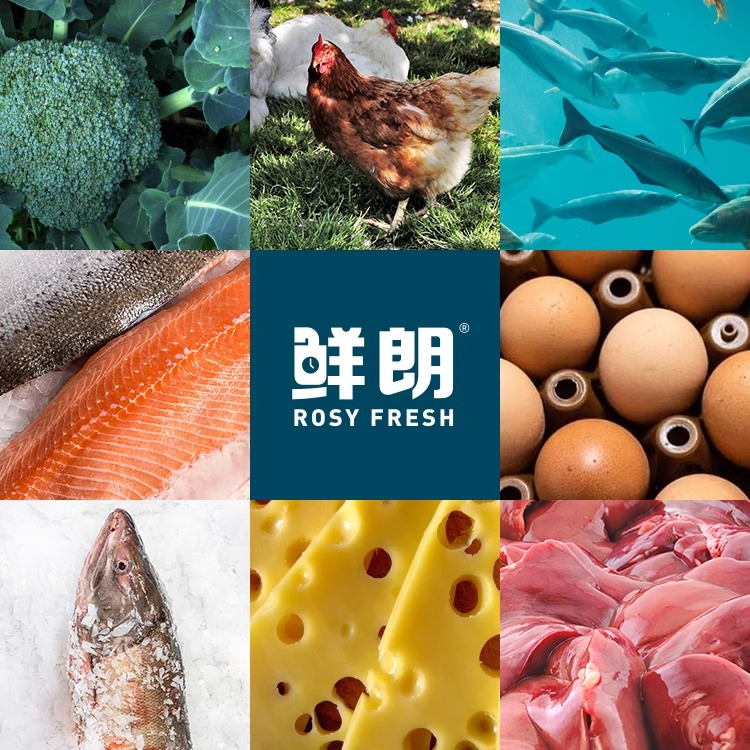 鲜朗 烘焙全价幼猫粮