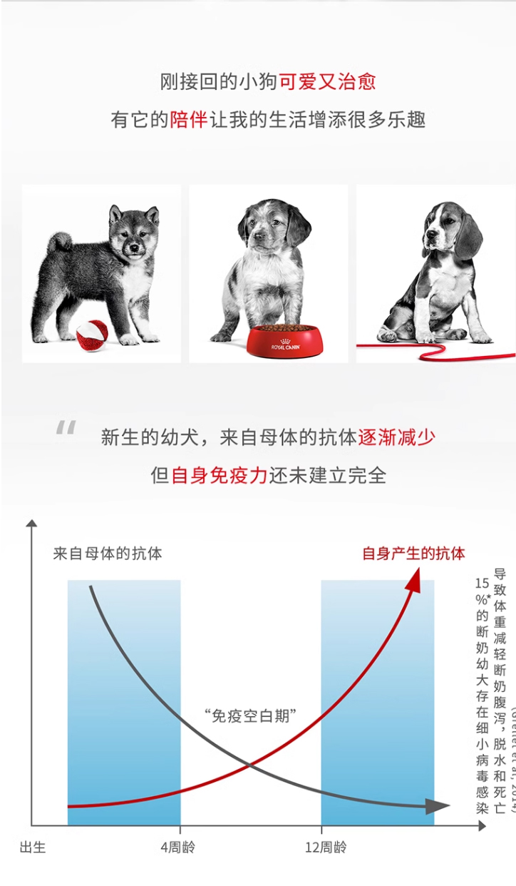 皇家中型犬幼犬全价粮