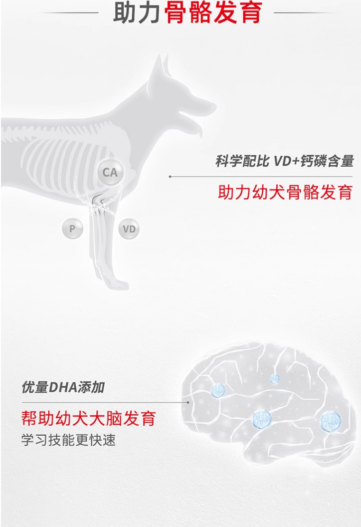 皇家中型犬幼犬全价粮