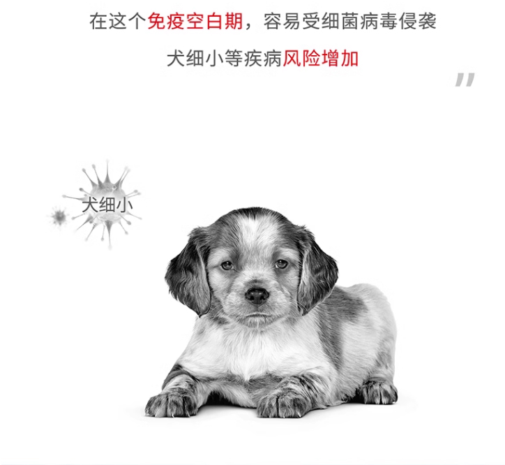 皇家中型犬幼犬全价粮