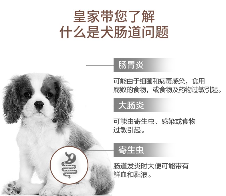 皇家 肠道处方粮