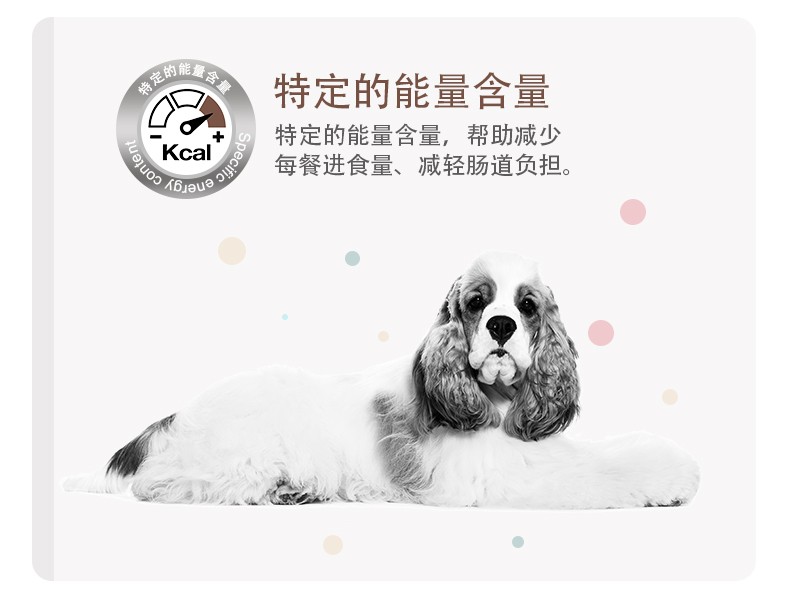 皇家 肠道处方粮