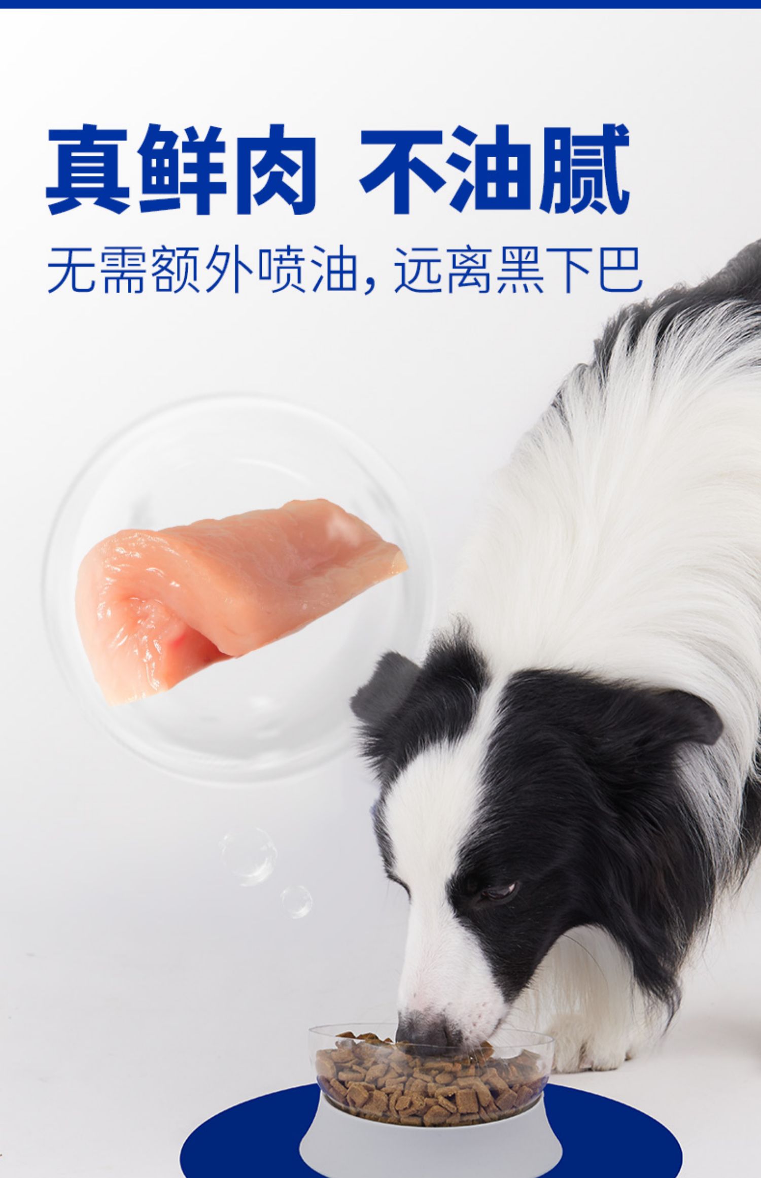 海洋之星 鲜肉全价烘焙犬粮