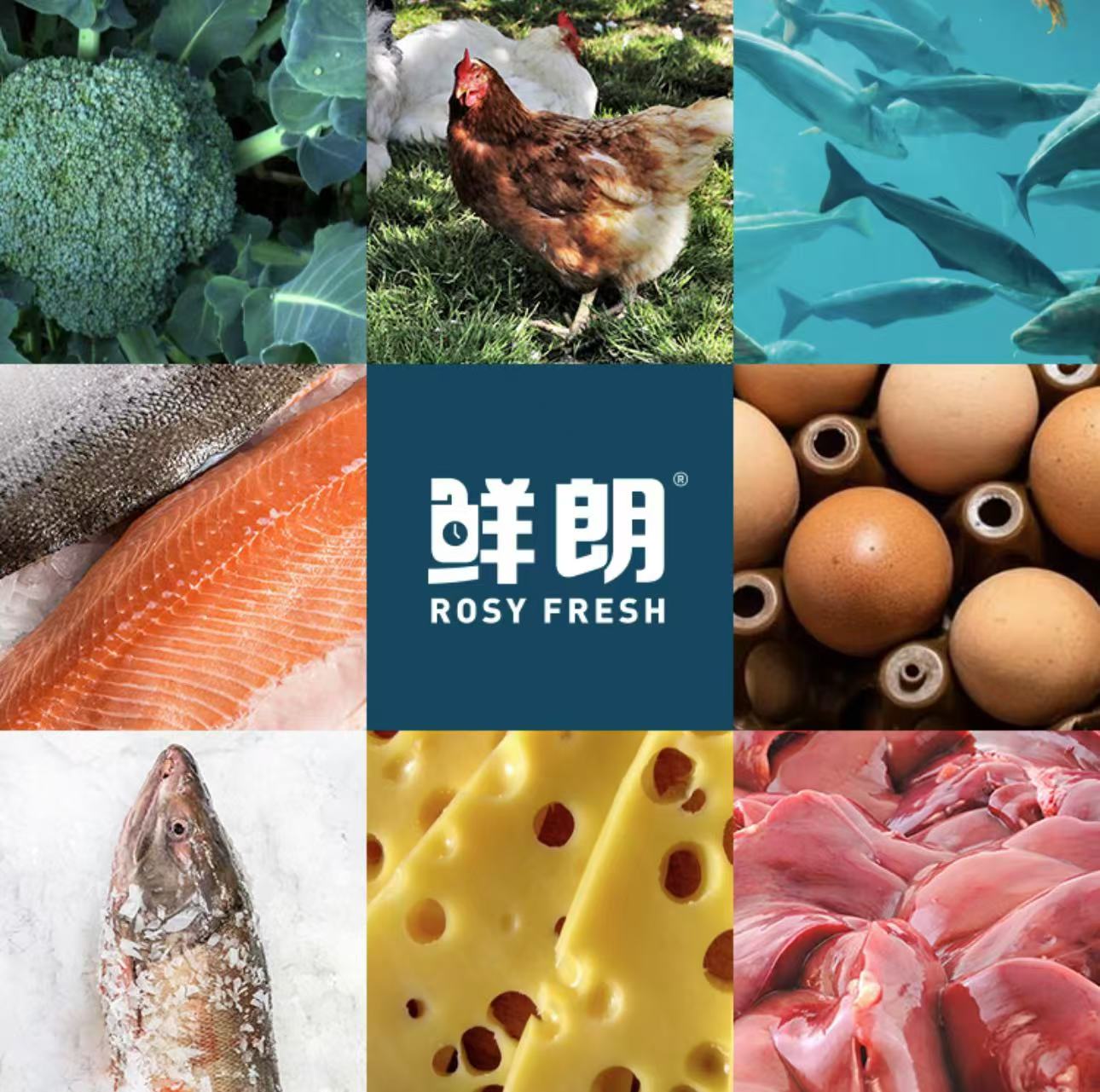 鲜朗 犬用主食餐包 鲜朗餐包