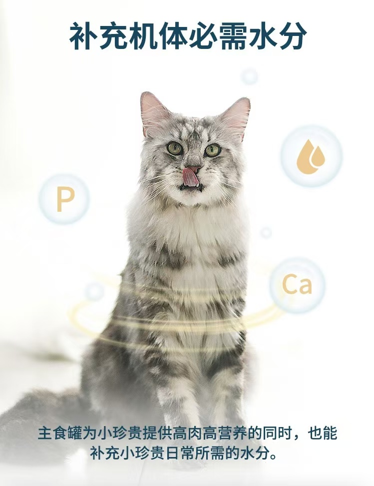 鲜朗 猫用主食餐包 鲜朗餐包