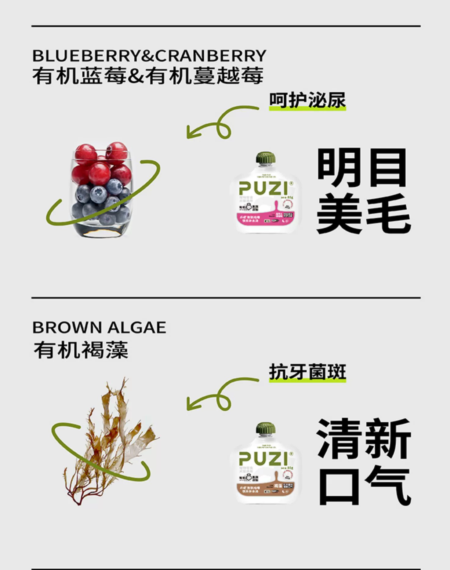 扑吃 补水汤包（犬猫通用）