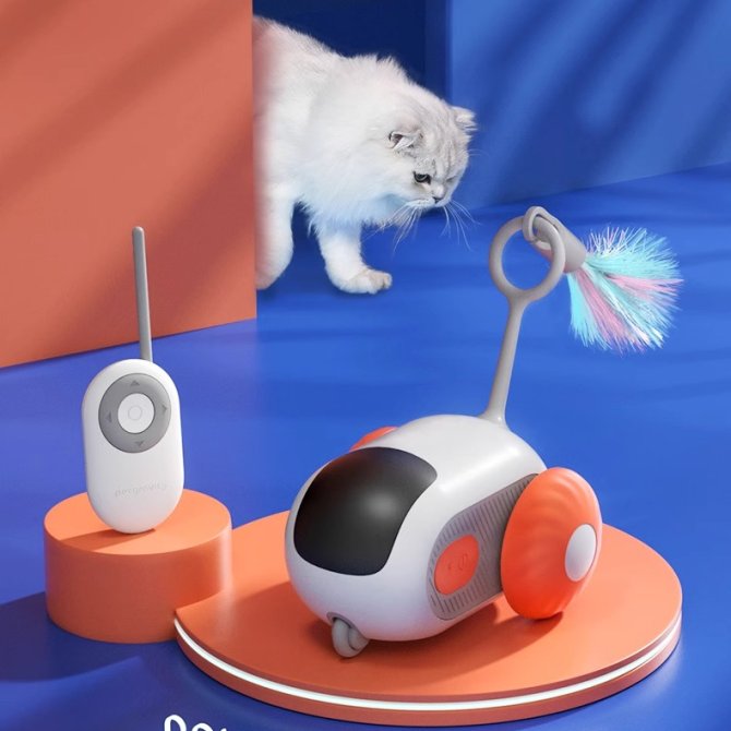 宠有引力遥控跑跑车