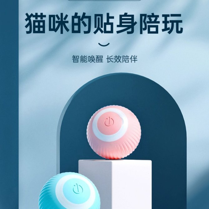 宠有引力滚滚球